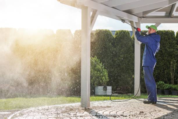Best Sidewalk and Walkway Cleaning  in Greenville, PA
